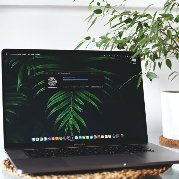 How to empty trash on a MacBook OurDeal.co.uk