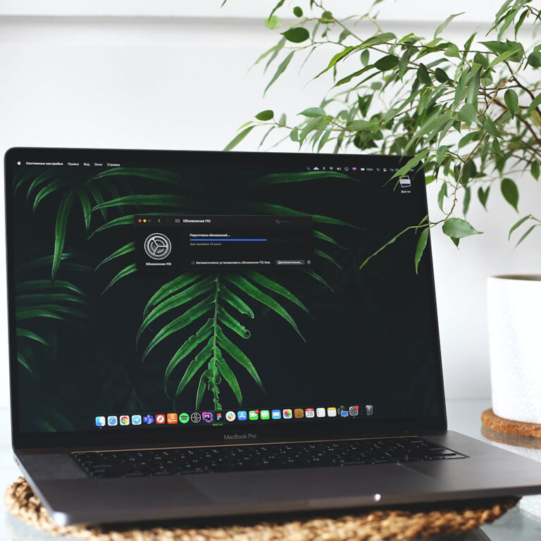 How To Empty Trash On Macbook
